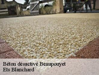 Béton désactivé  beaupouyet-24400 Ets Blanchard 