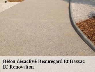 Béton désactivé beauregard-et-bassac-24140 IC Renovation