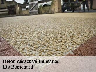 Béton désactivé  beleymas-24140 Ets Blanchard 