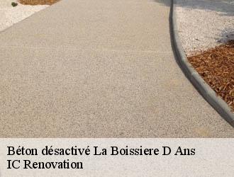 Béton désactivé la-boissiere-d-ans-24640 IC Renovation