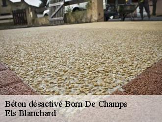Béton désactivé  born-de-champs-24440 Ets Blanchard 