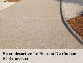 Béton désactivé le-buisson-de-cadouin-24480 IC Renovation