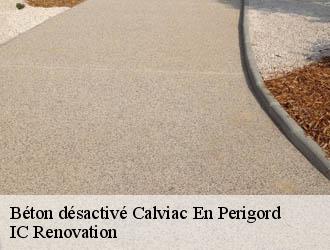Béton désactivé calviac-en-perigord-24370 IC Renovation