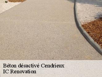 Béton désactivé cendrieux-24380 IC Renovation
