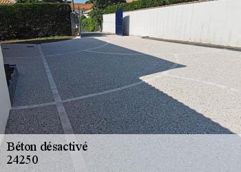 Béton désactivé 24250