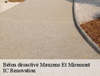Béton désactivé mauzens-et-miremont-24260 IC Renovation