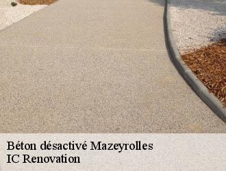 Béton désactivé mazeyrolles-24550 IC Renovation