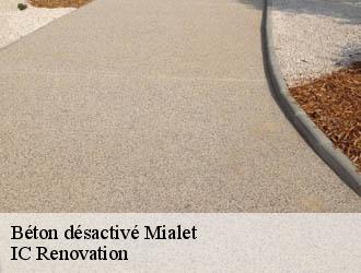 Béton désactivé mialet-24450 IC Renovation