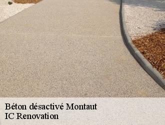 Béton désactivé montaut-24560 IC Renovation
