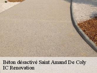 Béton désactivé saint-amand-de-coly-24290 IC Renovation