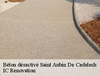 Béton désactivé saint-aubin-de-cadelech-24500 IC Renovation