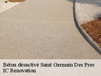 Béton désactivé saint-germain-des-pres-24160 IC Renovation