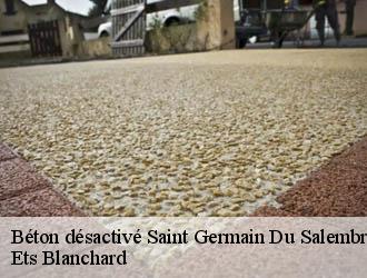 Béton désactivé  saint-germain-du-salembre-24190 Ets Blanchard 
