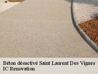 Béton désactivé saint-laurent-des-vignes-24100 IC Renovation