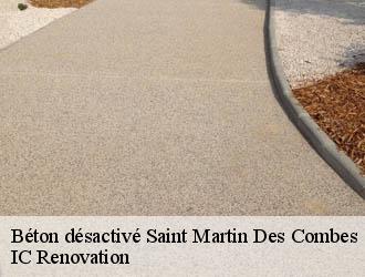 Béton désactivé saint-martin-des-combes-24140 IC Renovation