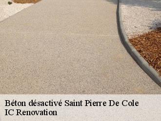 Béton désactivé saint-pierre-de-cole-24800 IC Renovation