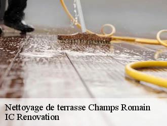 Nettoyage de terrasse champs-romain-24470 IC Renovation