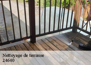 Nettoyage de terrasse  24640