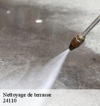 Nettoyage de terrasse  24110