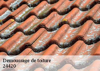 Demoussage de toiture  24420