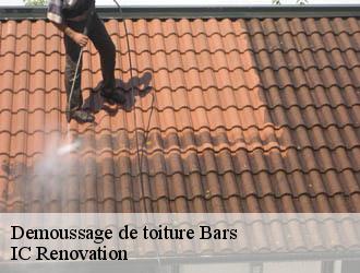 Demoussage de toiture  bars-24210 Ets Blanchard 