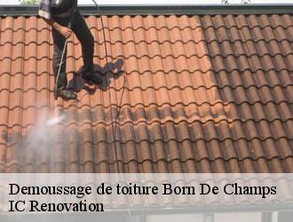 Demoussage de toiture born-de-champs-24440 IC Renovation