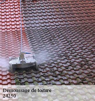 Demoussage de toiture  24250