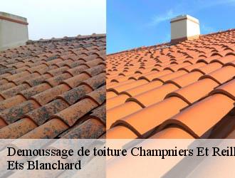Demoussage de toiture  champniers-et-reilhac-24360 Ets Blanchard 