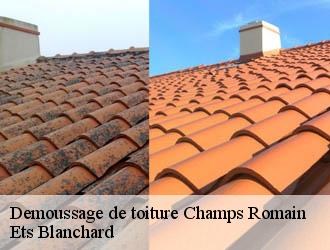 Demoussage de toiture  champs-romain-24470 Ets Blanchard 