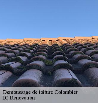 Demoussage de toiture colombier-24560 IC Renovation