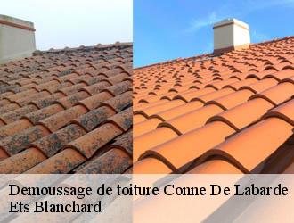 Demoussage de toiture  conne-de-labarde-24560 Ets Blanchard 