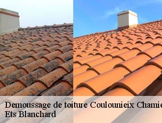 Demoussage de toiture coulounieix-chamiers-24660 Ets Blanchard