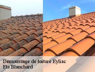 Demoussage de toiture eyliac-24330 Ets Blanchard