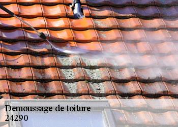Demoussage de toiture 24290