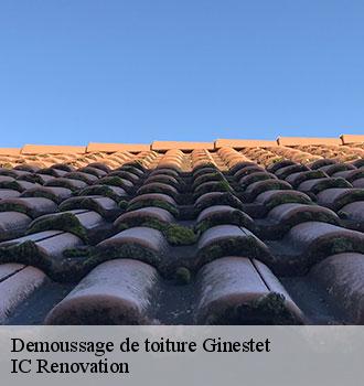 Demoussage de toiture ginestet-24130 IC Renovation