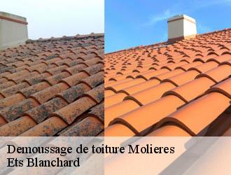 Demoussage de toiture  molieres-24480 Ets Blanchard 