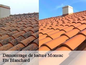 Demoussage de toiture  monsac-24440 Ets Blanchard 