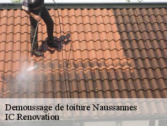 Demoussage de toiture naussannes-24440 Ets Blanchard