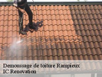 Demoussage de toiture rampieux-24440 IC Renovation