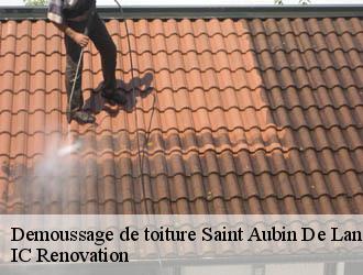 Demoussage de toiture saint-aubin-de-lanquais-24560 Ets Blanchard