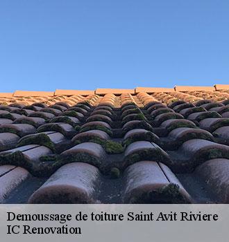 Demoussage de toiture saint-avit-riviere-24540 Ets Blanchard