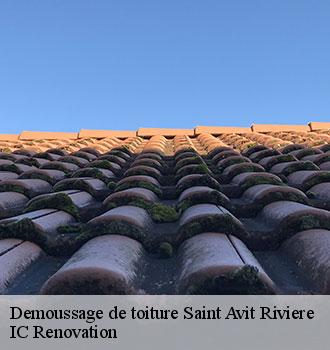 Demoussage de toiture  saint-avit-riviere-24540 Ets Blanchard 