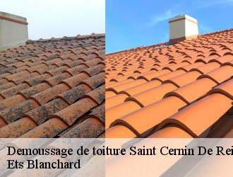 Demoussage de toiture  saint-cernin-de-reillac-24580 Ets Blanchard 
