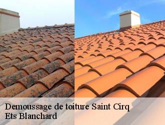 Demoussage de toiture  saint-cirq-24260 Ets Blanchard 