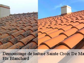 Demoussage de toiture  sainte-croix-de-mareuil-24340 Ets Blanchard 