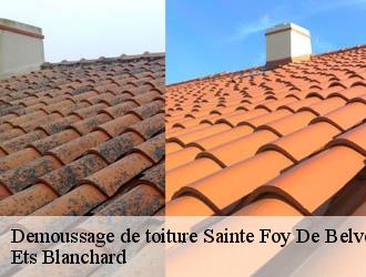 Demoussage de toiture  sainte-foy-de-belves-24170 Ets Blanchard 