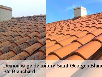Demoussage de toiture  saint-georges-blancaneix-24130 Ets Blanchard 