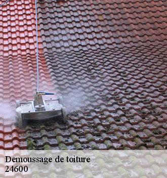 Demoussage de toiture 24600