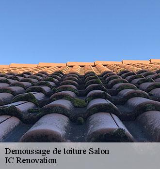 Demoussage de toiture salon-24380 Techni renov